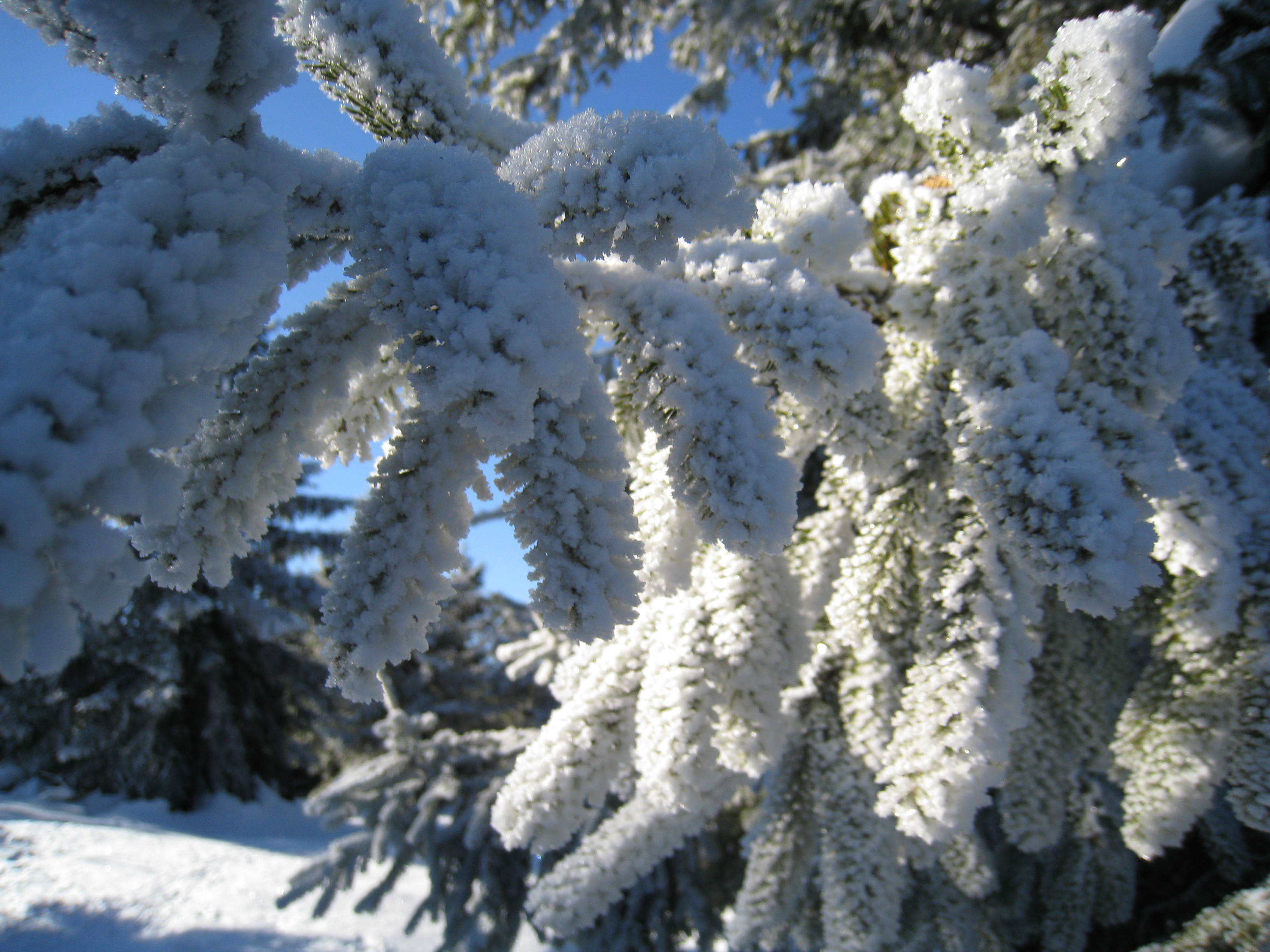 Schneeschuhtouren